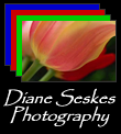 Diane Seskes Photography